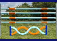 Set GULF 1