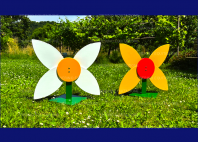 FLOR